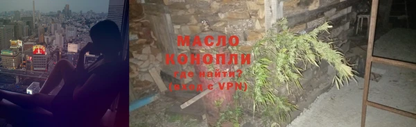 шишки Дмитриев