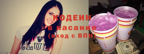 шишки Дмитриев